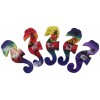 02 169 Magnet Sea Horse All Colours Set 5